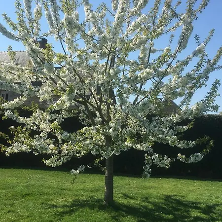 Bed and breakfast Familiale Proche Mont St Michel