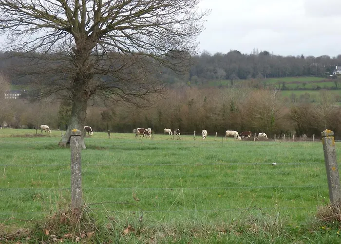 Familiale Proche Mont St Michel 3*