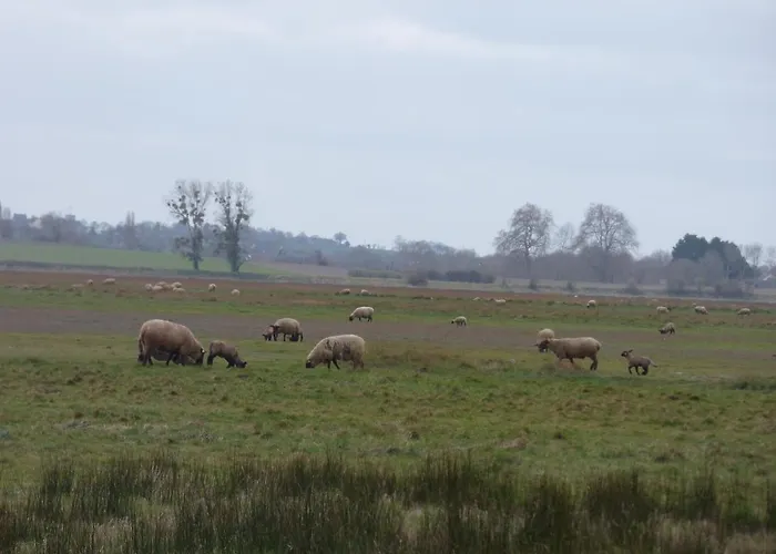 Familiale Proche Mont St Michel 3* Juilley
