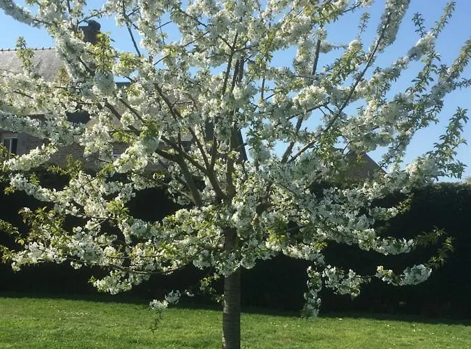 Bed & Breakfast Familiale Proche Mont St Michel